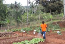 Un modèle économique contre l’exclusion