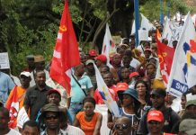 Enseignement du premier degré : le cocorico de Rivo