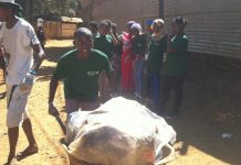 Doujani propre, l’espace d’un instant