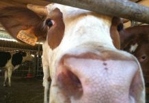 Journée de campagne