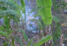 Démissions à la Capam : quelles conséquences ?