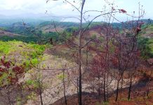 200 000 euros partis en fumée