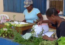Madagascar : jour de vote dans les fokontany