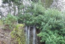 Fermeture temporaire de la baignade à Soulou