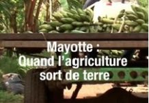 Terrain documentaire