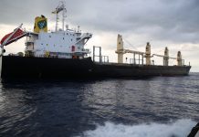 Piraterie : aucun incident dans notre zone en 2015