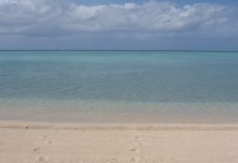 Propreté des eaux de baignade : où nager sans crainte à Mayotte ?