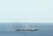 La commissaire européenne à la pêche bientôt à Mayotte