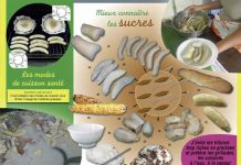 Hamjago à la recherche de ses diabétiques