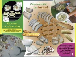 A Mayotte, le diabète touche deux fois plus de personnes qu’en métropole