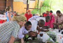 Greffe ton légume !