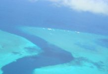 Parc Naturel Marin de Mayotte : un touriste «conso-acteur»