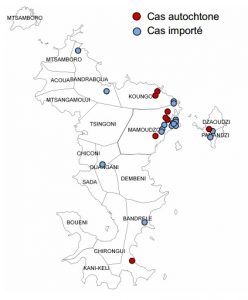 Distribution géographique des cas de dengue à Mayotte au 28 février