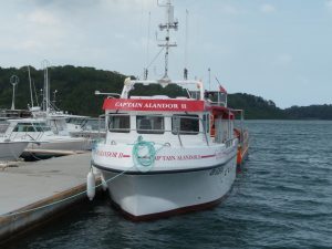 Partir à la pêche avec Captain Allendor