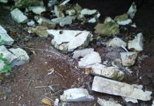 Coraux vandalisés aux Quatre frères