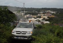 La guerre ? la dengue est d?clar?e