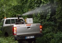 Augmentation des hospitalisations pour cas de dengue