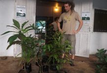 Journée mondiale des forêts : l’archipel des Comores tente de sauver ses arbres