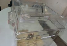 Report des élections départementales aux 13 et 20 juin