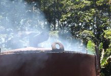 Du charbon de Mayotte : écolo et légal