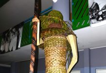 Les Arts contemporains s’affichent à Dembéni