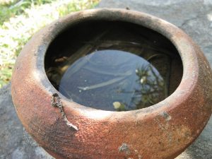 Éliminer les gîtes larvaires