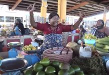 Le virus «Happy» contamine Mayotte