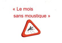 Dengue à Mayotte : opération «le mois sans moustique»