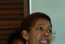 La ministre Pau Langevin et la compétitivité des Outre-Mer