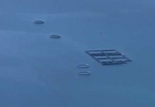 Diagnostic de la filière aquacole