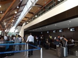 Trafic à l’aéroport : Début d’année stable pour les passagers, fret en hausse