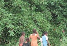 L’indemnisation des Tiers Dignes de Confiance : «Une grande avancée» pour Me Ghaem