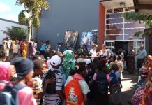 20 ans d’images sous-marines