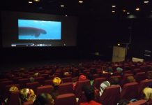 Festival de l’image sous-marine: plongée vers la 22e édition