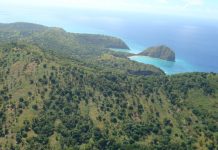 L’avenir de Mayotte passe par l’Afrique