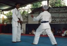 Basket féminin, volley-ball et karaté, disciplines stars de votre week-end de sport