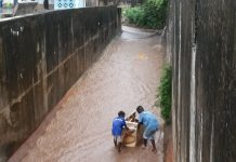 Leptospirose : un nombre de cas déjà supérieur à 2013