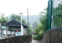 Découverte d’une nouvelle forme de leptospirose à Mayotte