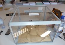 Européennes : les résultats à Tsingoni sont-ils sincères ?