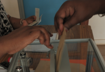 Parlement européen : Mayotte doit tenir son rang