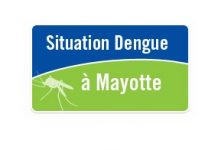 Dengue à Mayotte: 351 cas en 2014