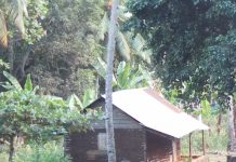 Week-end loisirs : entre archi, lecture et Milatsika