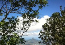 Samedi du Muma: le patrimoine naturel de Mayotte à l’honneur ce 30 juillet