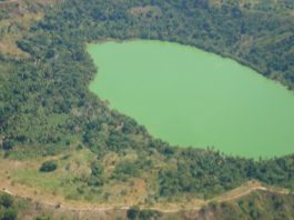 « Unique au monde », l’écosystème du lac Dziani menacé par le nouveau volcan