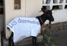 Visite ministérielle : le Snuipp rendu chèvre