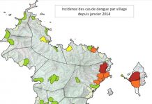 386 cas de dengue confirmés depuis le début de l’année