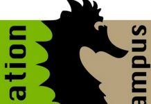 Hippocampus: la petite association devient un centre culturel