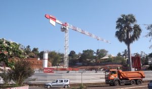 Le chantier du futur centre commercial du Baobab arrêté au 2e trimestre 2015 pour permettre la reproduction des martinets des palmes