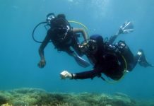 «Premières bulles au pays du corail»: Les inscriptions sont ouvertes pour la 5e édition