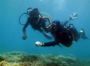 Plongée dans le lagon de Mayotte (Image: Marine Dedeken / Agence des aires marines protégées)